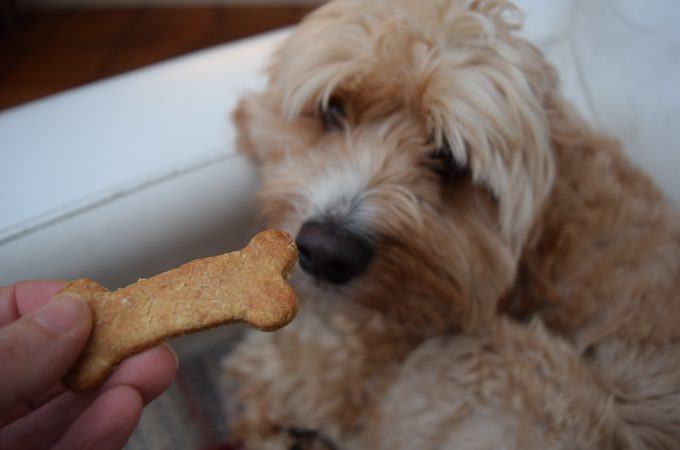 Teddys-dog-treats-lucyloves-foodblog